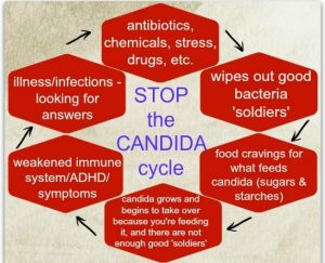 candida